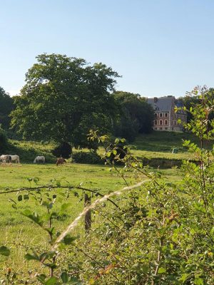 AUTOUR DU BOULEVARD NATURE : ALLONNES – ARNAGE, AUTOUR DE LA FORÊTERIE