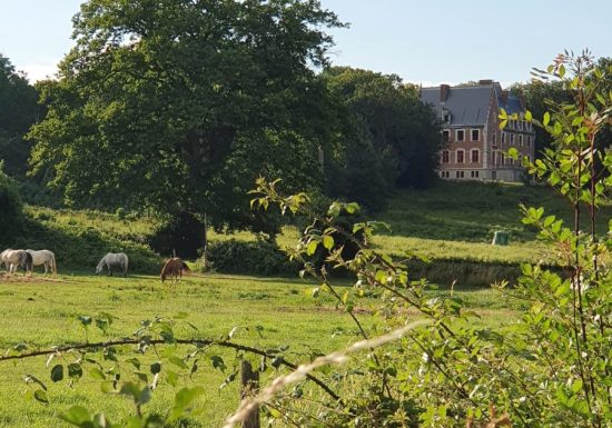 AUTOUR DU BOULEVARD NATURE : ALLONNES – ARNAGE, AUTOUR DE LA FORÊTERIE