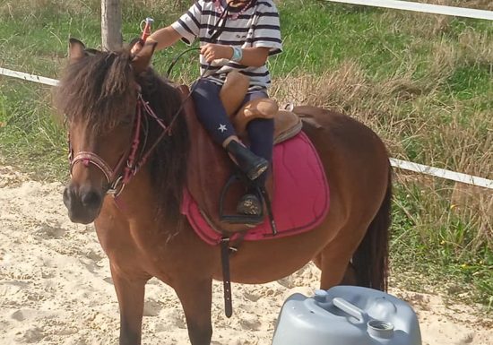 LES BRUMES PONY CLUB