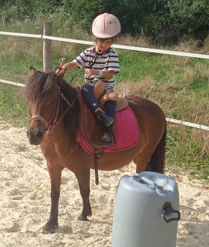 LES BRUMES PONY CLUB