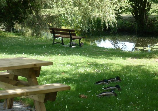 Camping municipal de Dollon