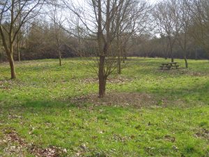 PECHER SUR LE TUSSON DANS LE BOURG