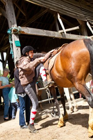 VIBRAYE EQUITATION