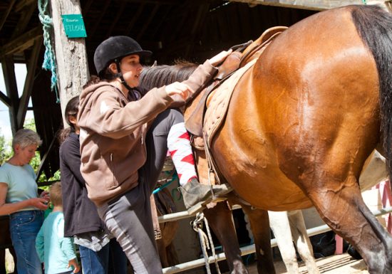 Vibraye Équitation