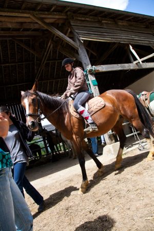 VIBRAYE EQUITATION