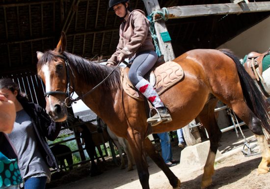 Vibraye Équitation