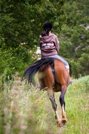 VIBRAYE EQUITATION