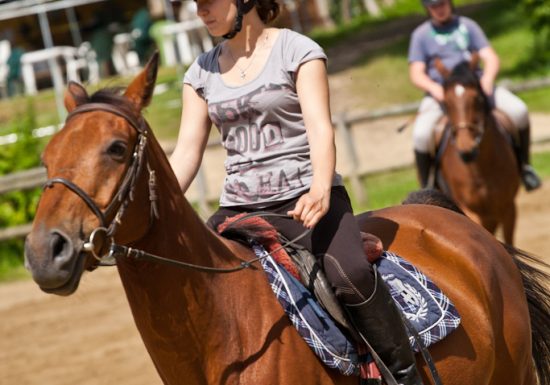 Vibraye Équitation