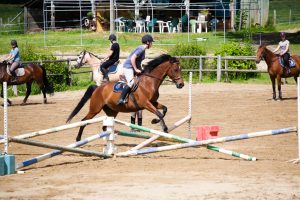 VIBRAYE EQUITATION