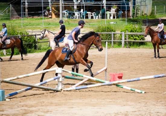 Vibraye Équitation
