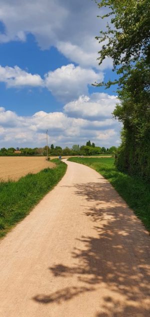 AUTOUR DU BOULEVARD NATURE : SARGÉ-LÈS-LE-MANS : AU COEUR DU BOCAGE