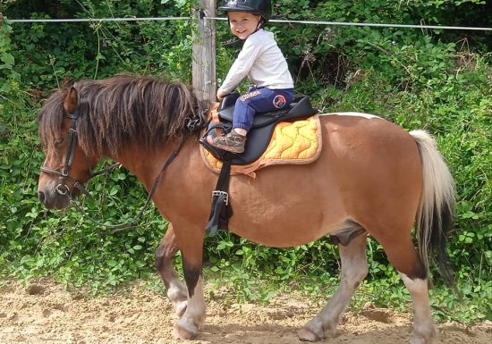 LES BRUMES PONY CLUB