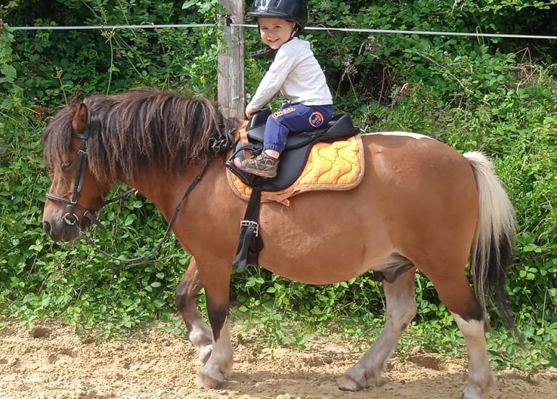 LES BRUMES PONY CLUB