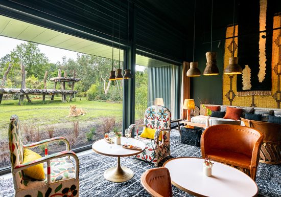 Safari suite – Zoo de la Flèche