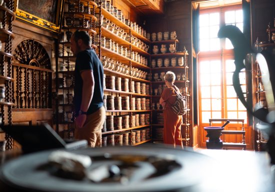 La Vélobuissonnière : voie verte La Flèche – Baugé en Anjou