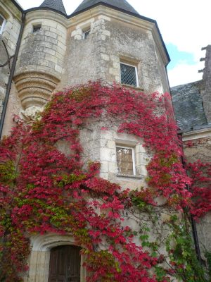 BAZOUGES-SUR-LE-LOIR -À LA DÉCOUVERTE DE BAZOUGES-CRÉ-SUR-LOIR