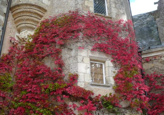 Bazouges-sur-Loir – À la découverte de Bazouges-Cré-sur-Loir