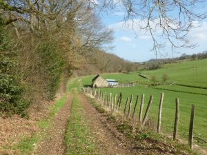 BEAUMONT PIED DE BOEUF – EAUX ET FORÊTS