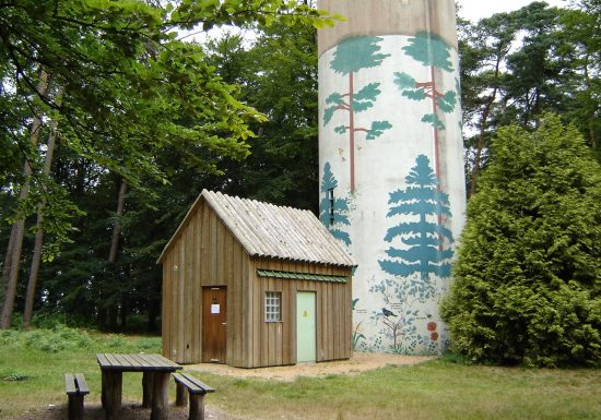 EN FORÊT DE PERSEIGNE