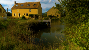 La grande raisandière