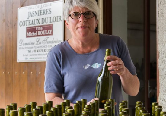 Domaine viticole SCEA Vins Boulay