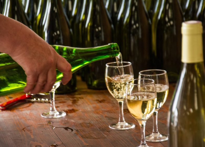 Domaine viticole SCEA Vins Boulay