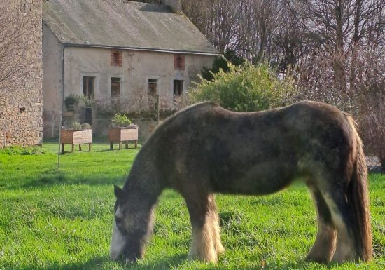 Ecolieu La Bretonnerie
