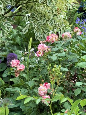 Visite du jardin de L’Ecole des Garçons