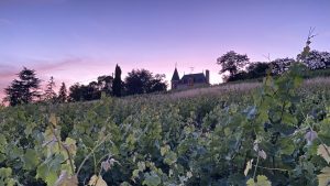 Domaine Lainault