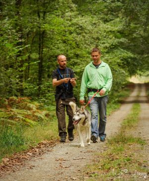 Sled Dog Ride – Cani rando