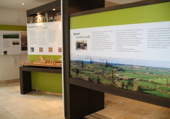 PAYSAGE EN R’ÉVOLUTION