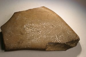 Visite guidée “Mythique Préhistoire” au musée d’archéologie