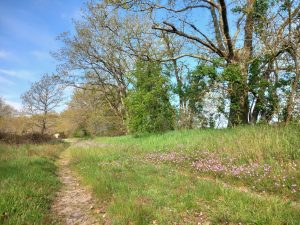 Rando Clim Sentier ENS Prairie de Cherré Aubigné Racan