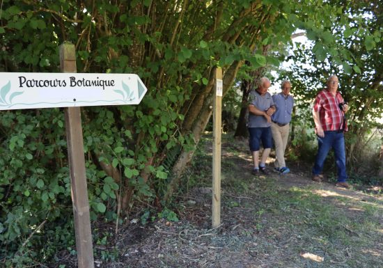 Rando Clim Parcours botanique, Chemin du boudin de son