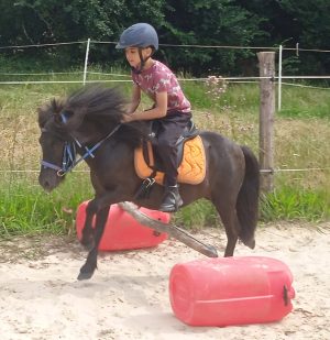 LES BRUMES PONY CLUB