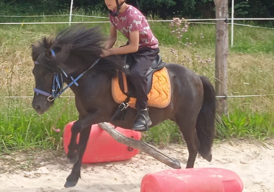 LES BRUMES PONY CLUB