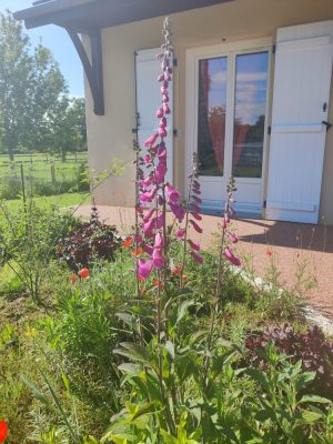 Gîte la Lande d’en Bas