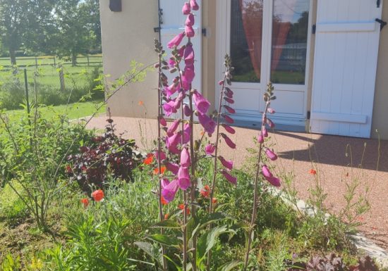 Gîte la Lande d’en Bas