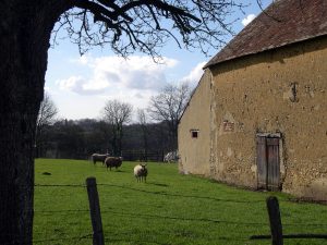 À travers les collines de Saint-Aubin