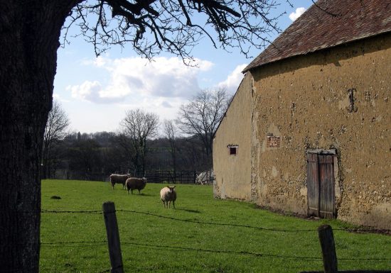 CIRCUIT N°11 : À L’ASSAUT DES COLLINES DU ROSAY – SAINT-AUBIN-DES-COUDRAIS