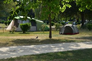 CAMPING AU BORD DU LOIR