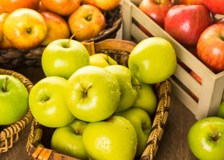 Jardin de la Faverie