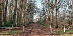 GITE DOMAINE DE LA HAUTE PORTE