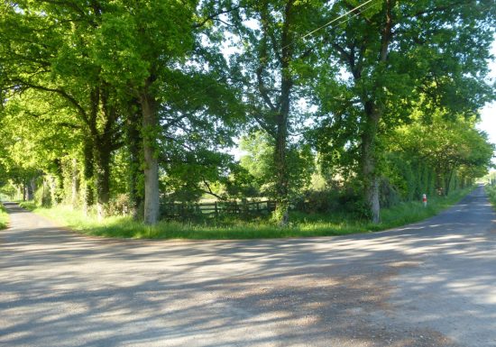 Parcours de découverte – Circuit vert