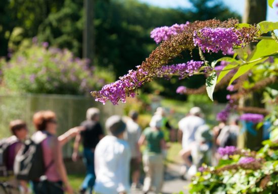 Du Tusson à la Vallée de la Flotte à Lavenay – Loir-en-Vallée