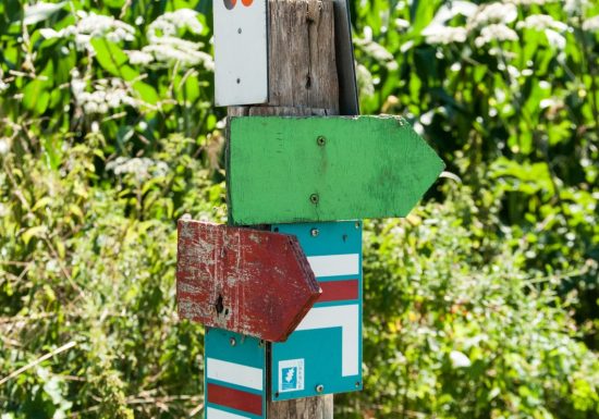 Le papillon de la Chapelle-Gaugain – Loir-en-Vallée
