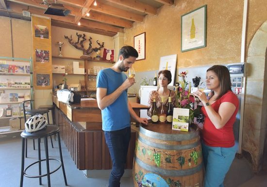 La Vallée du Loir à vélo : Ruillé-sur-Loir < > Château-du-Loir