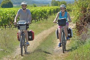 BOUCLE N°5 : LE VIGNOBLE DE JASNIERES