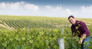 Domaine viticole Olivier Champion