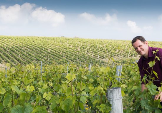 Domaine viticole Olivier Champion